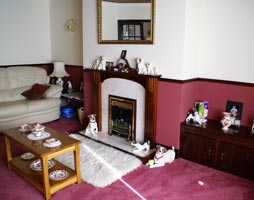 Fireplace, coffe table and cupboards